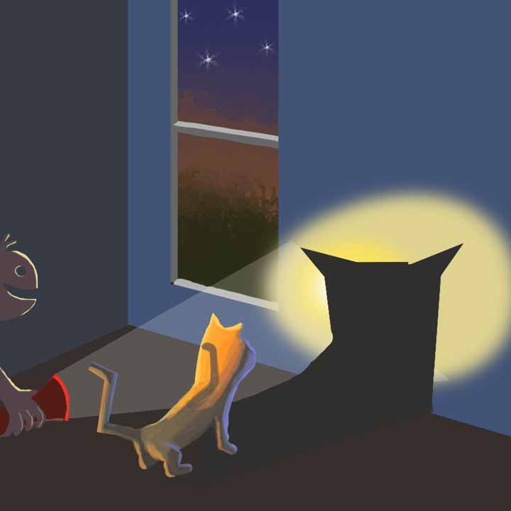 Picture of a child holding a flashlight shining light on a cat and casting a cat-shaped shadow on bedroom wall