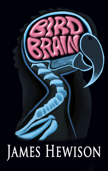 Bird Brain (YA novel)